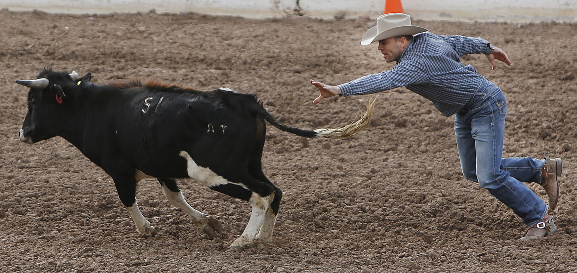La Fiesta de los Vaqueros